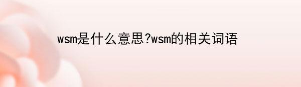 wsm是什么意思?wsm的相关词语