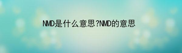 NMD是什么意思?NMD的意思