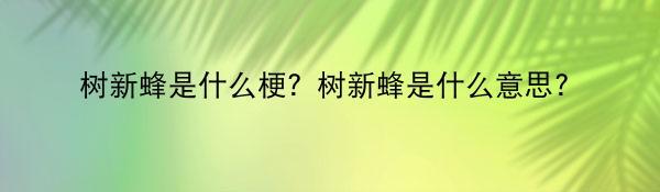 树新蜂是什么梗？树新蜂是什么意思？