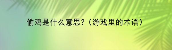 偷鸡是什么意思?（游戏里的术语）