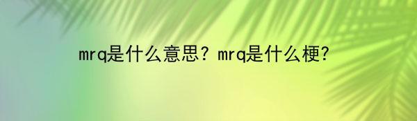 mrq是什么意思? mrq是什么梗？