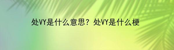 处VY是什么意思? 处VY是什么梗