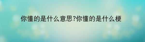 你懂的是什么意思?你懂的是什么梗