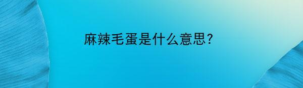 麻辣毛蛋是什么意思?