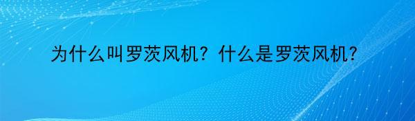 为什么叫罗茨风机？什么是罗茨风机？