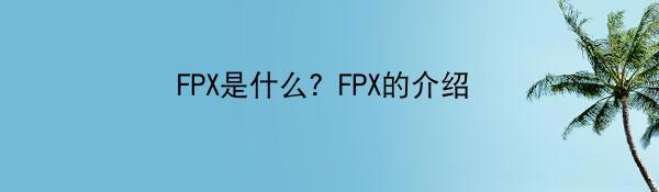 FPX是什么？FPX的介绍