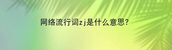 网络流行词zj是什么意思?