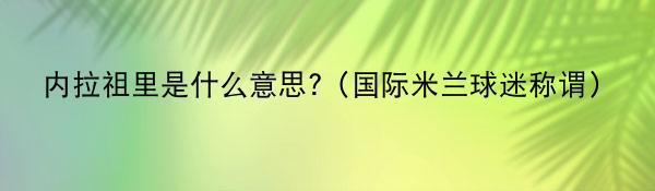 内拉祖里是什么意思?（国际米兰球迷称谓）