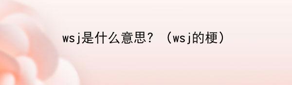 wsj是什么意思? （wsj的梗）