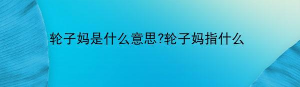 轮子妈是什么意思?轮子妈指什么