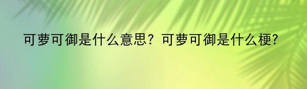 可萝可御是什么意思？可萝可御是什么梗？