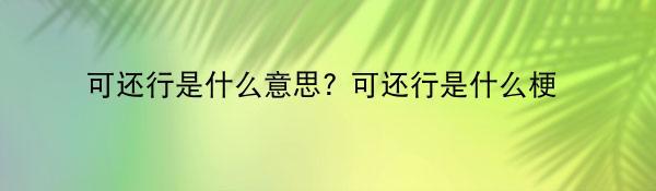 可还行是什么意思? 可还行是什么梗