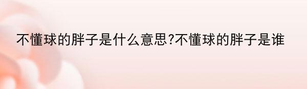 不懂球的胖子是什么意思?不懂球的胖子是谁