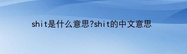 shit是什么意思?shit的中文意思