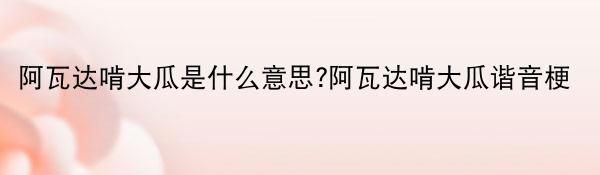 阿瓦达啃大瓜是什么意思?阿瓦达啃大瓜谐音梗