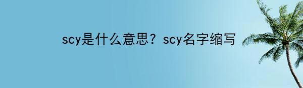 scy是什么意思? scy名字缩写