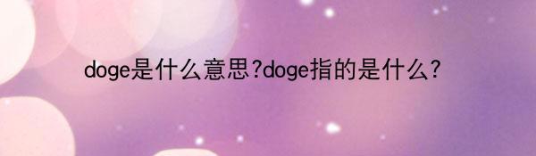 doge是什么意思?doge指的是什么？