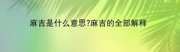 麻吉是什么意思?麻吉的全部解释