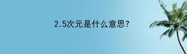 2.5次元是什么意思?