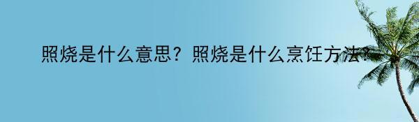 照烧是什么意思？照烧是什么烹饪方法？