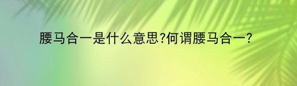 腰马合一是什么意思?何谓腰马合一?