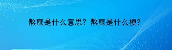 熬鹰是什么意思？熬鹰是什么梗？