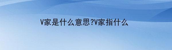 V家是什么意思?V家指什么