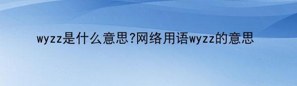 wyzz是什么意思?网络用语wyzz的意思