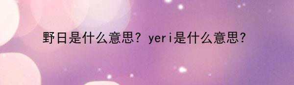 野日是什么意思？yeri是什么意思？