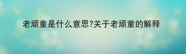 老顽童是什么意思?关于老顽童的解释