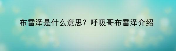 布雷泽是什么意思? 呼吸哥布雷泽介绍