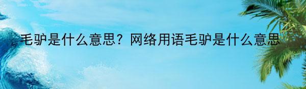 毛驴是什么意思? 网络用语毛驴是什么意思