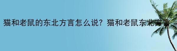 猫和老鼠的东北方言怎么说？猫和老鼠东北方言