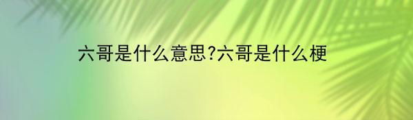 六哥是什么意思?六哥是什么梗