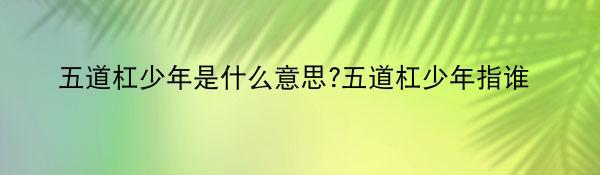 五道杠少年是什么意思?五道杠少年指谁