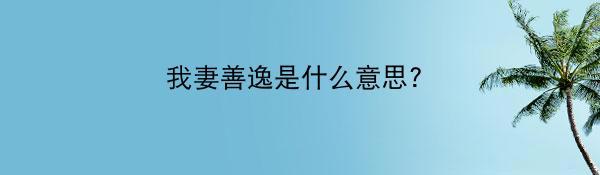 我妻善逸是什么意思?