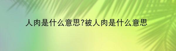 人肉是什么意思?被人肉是什么意思