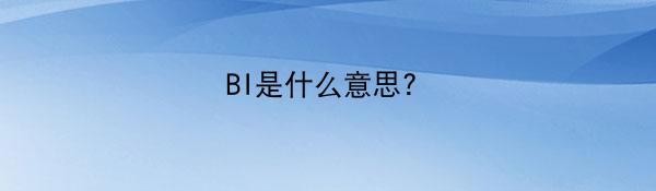 BI是什么意思?