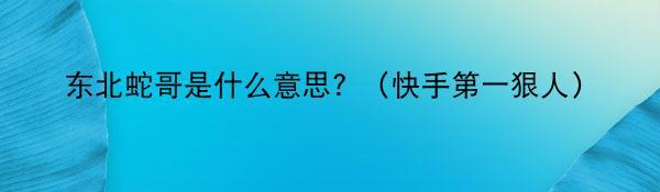 东北蛇哥是什么意思？（快手第一狠人）