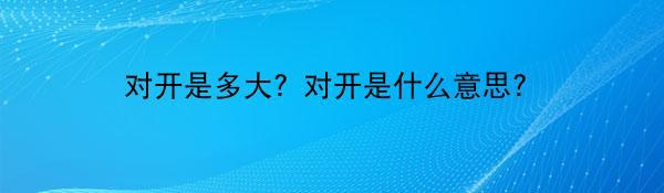 对开是多大？对开是什么意思？