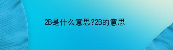 2B是什么意思?2B的意思