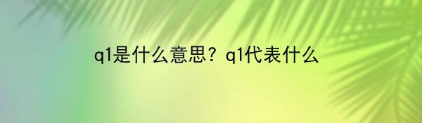 q1是什么意思? q1代表什么