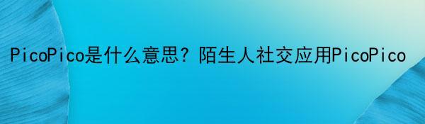 PicoPico是什么意思? 陌生人社交应用PicoPico