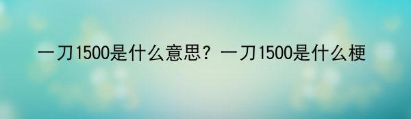 一刀1500是什么意思? 一刀1500是什么梗