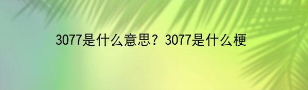 3077是什么意思? 3077是什么梗