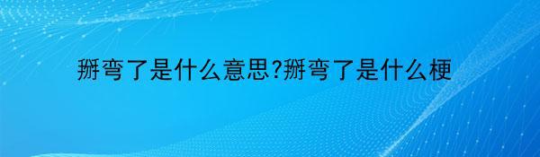 掰弯了是什么意思?掰弯了是什么梗