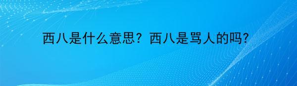 西八是什么意思？西八是骂人的吗？