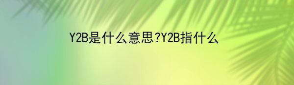 Y2B是什么意思?Y2B指什么