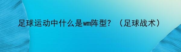 足球运动中什么是wm阵型？（足球战术）