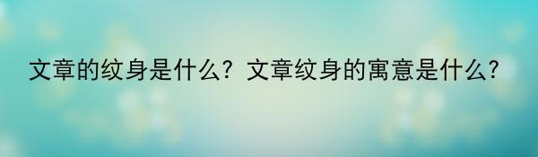 文章的纹身是什么？文章纹身的寓意是什么？